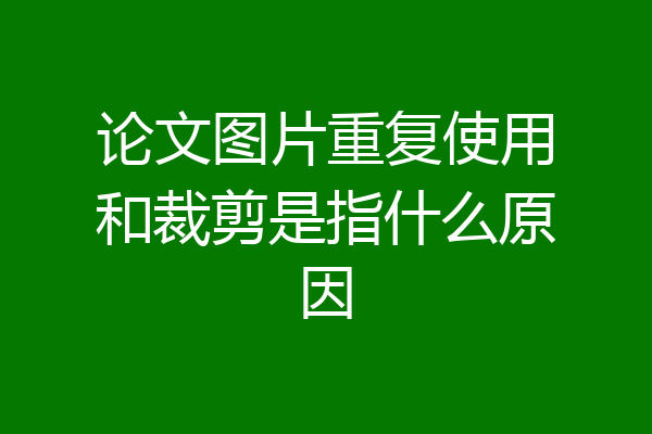 论文图片重复使用和裁剪是指什么原因