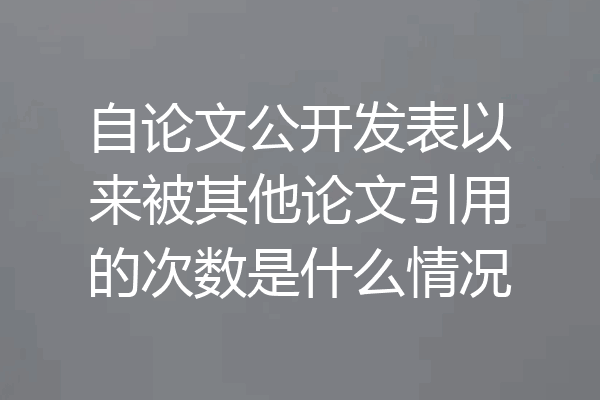 自论文公开发表以来被其他论文引用的次数是什么情况