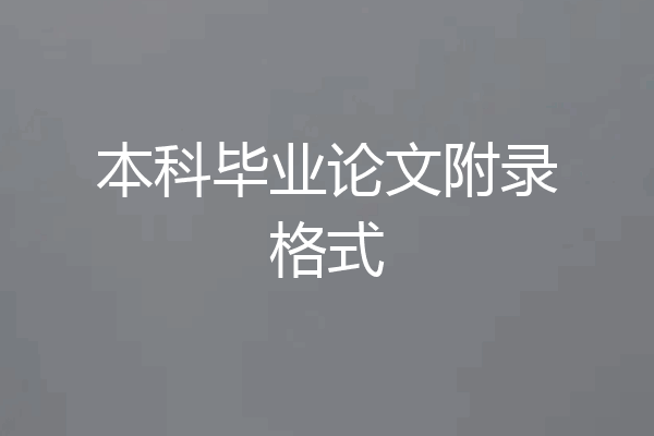 本科毕业论文附录格式