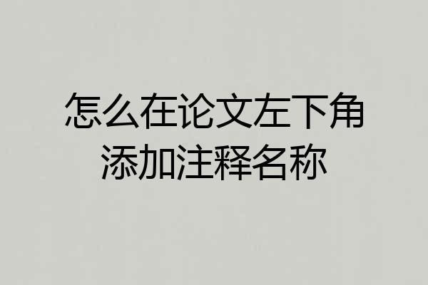 怎么在论文左下角添加注释名称