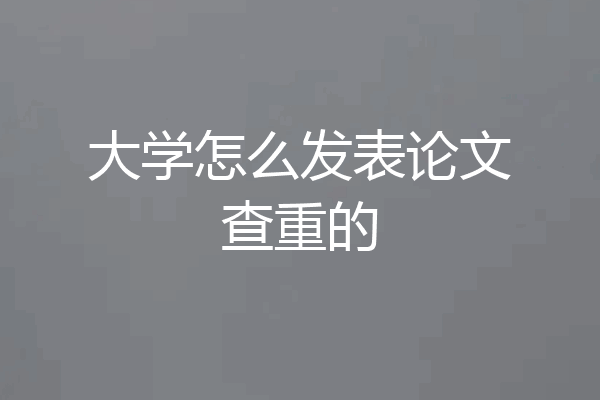 大学怎么发表论文查重的