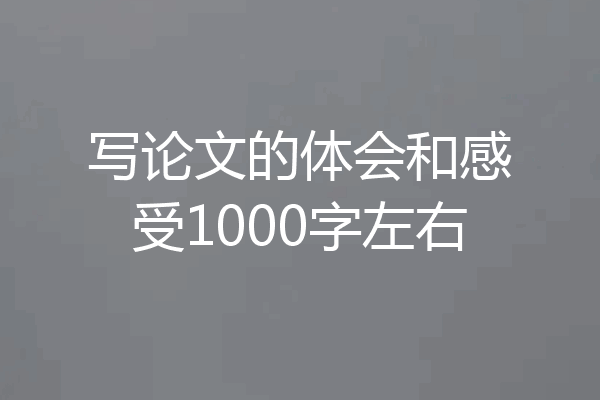写论文的体会和感受1000字左右