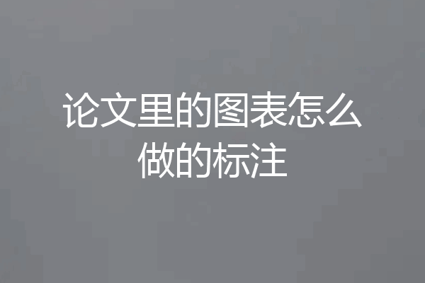 论文里的图表怎么做的标注