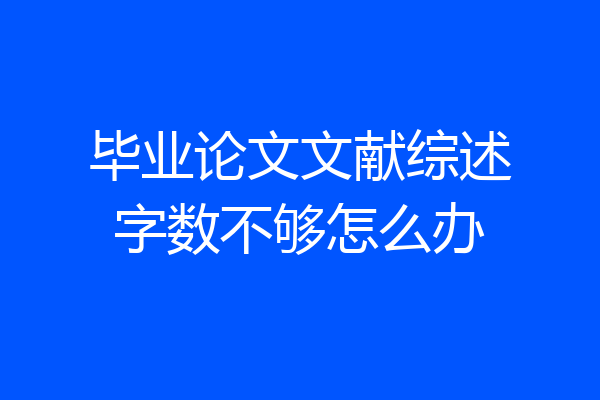 毕业论文文献综述字数不够怎么办