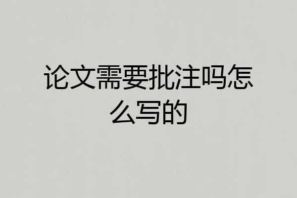 论文需要批注吗怎么写的