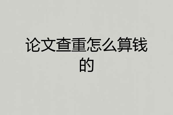 论文查重怎么算钱的