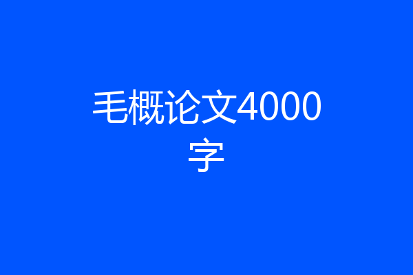 毛概论文4000字