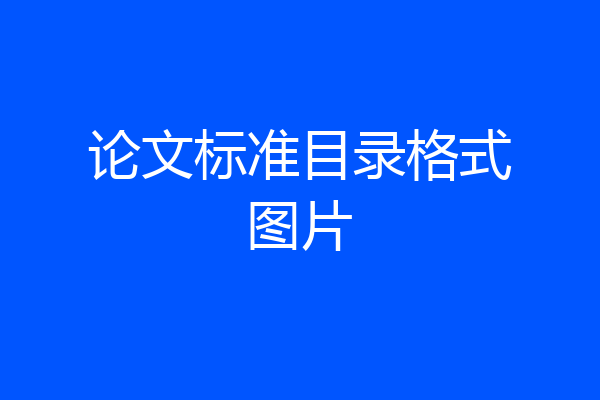 论文标准目录格式图片