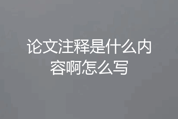 论文注释是什么内容啊怎么写