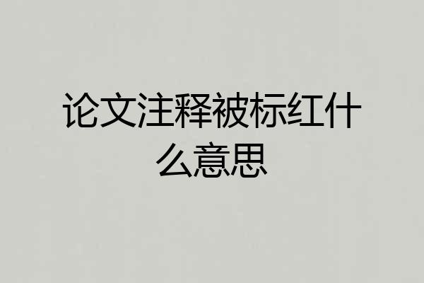 论文注释被标红什么意思