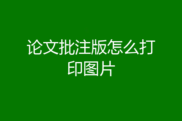 论文批注版怎么打印图片