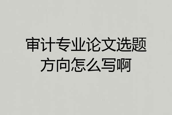 审计专业论文选题方向怎么写啊