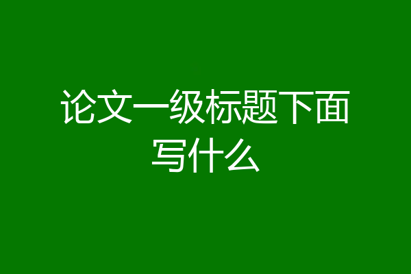论文一级标题下面写什么