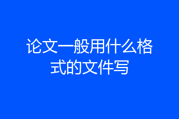 论文一般用什么格式的文件写