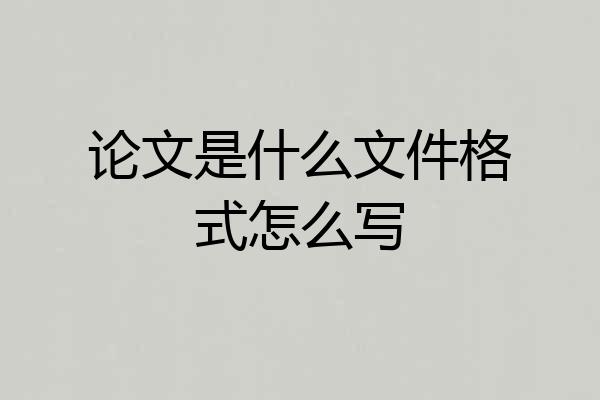 论文是什么文件格式怎么写
