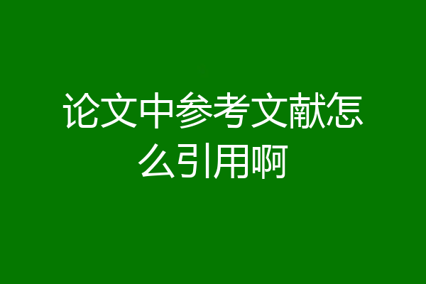 论文中参考文献怎么引用啊