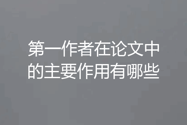 第一作者在论文中的主要作用有哪些