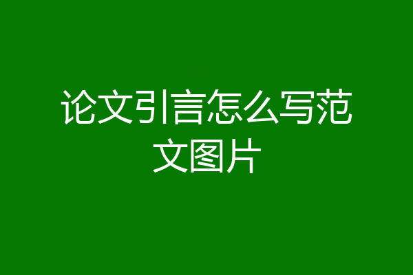 论文引言怎么写范文图片