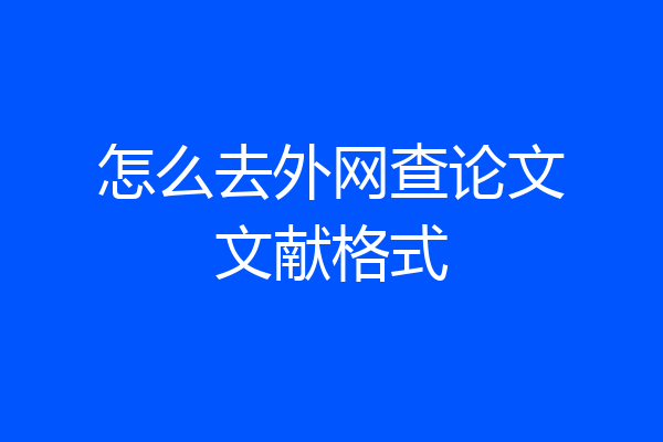 怎么去外网查论文文献格式