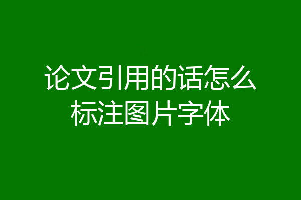 论文引用的话怎么标注图片字体