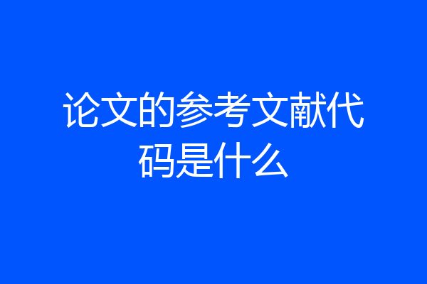论文的参考文献代码是什么