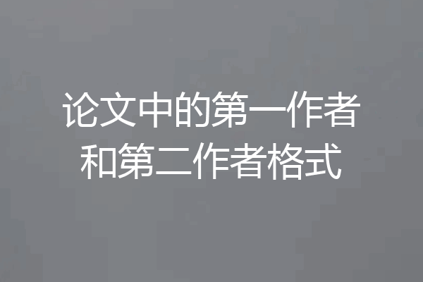 论文中的第一作者和第二作者格式