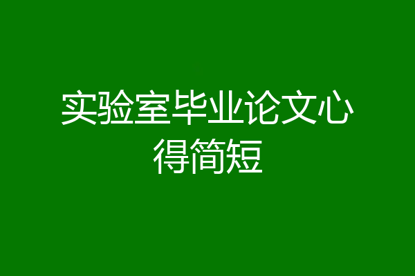 实验室毕业论文心得简短