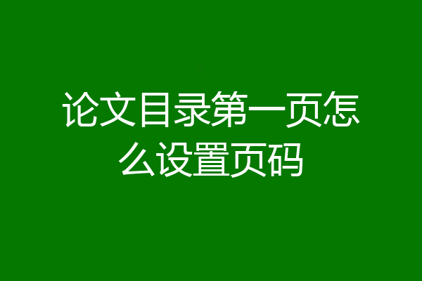 论文目录第一页怎么设置页码