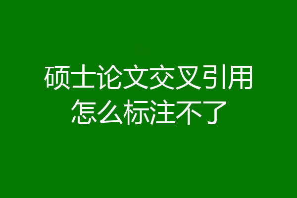 硕士论文交叉引用怎么标注不了