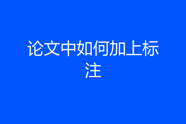 论文中如何加上标注