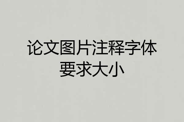 论文图片注释字体要求大小