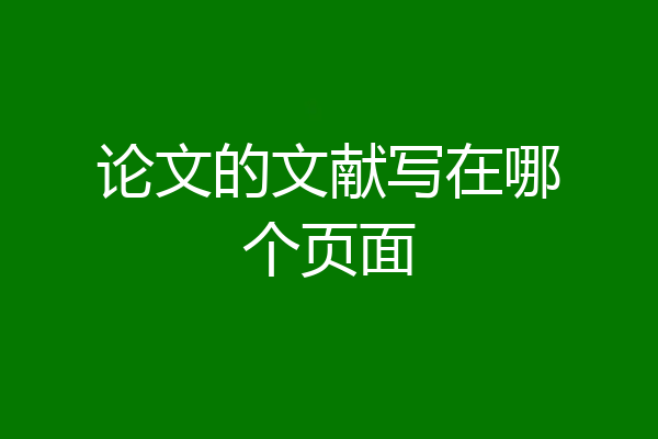 论文的文献写在哪个页面