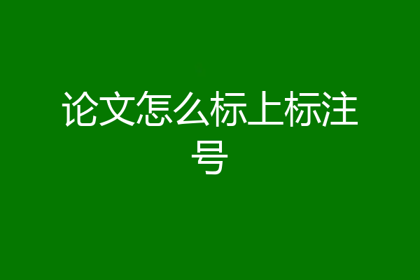 论文怎么标上标注号