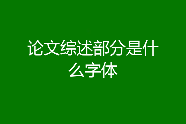 论文综述部分是什么字体