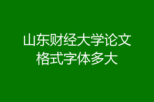 山东财经大学论文格式字体多大