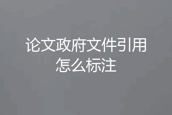 论文政府文件引用怎么标注