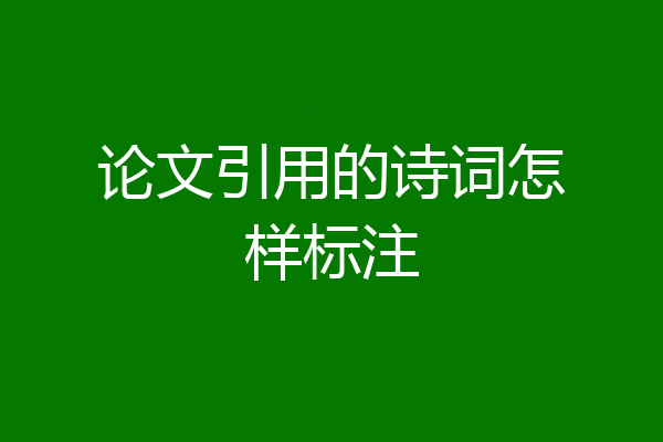 论文引用的诗词怎样标注