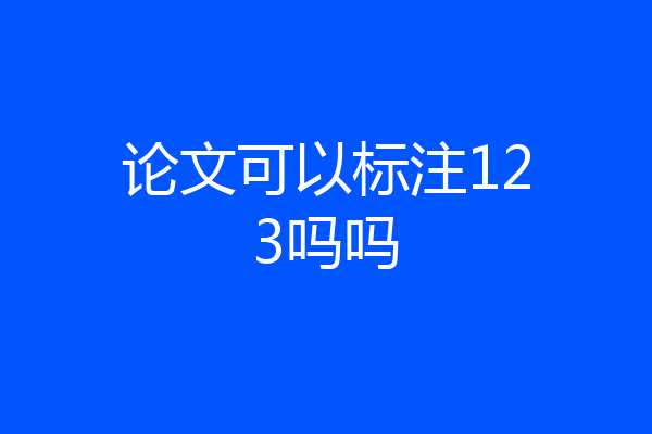 论文可以标注123吗吗