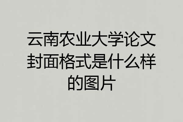 云南农业大学论文封面格式是什么样的图片