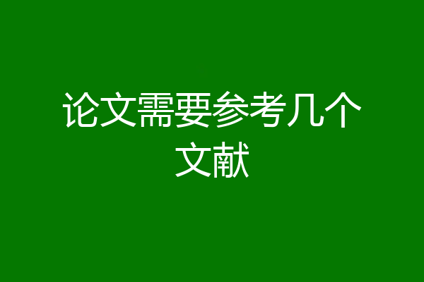 论文需要参考几个文献