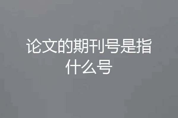 论文的期刊号是指什么号