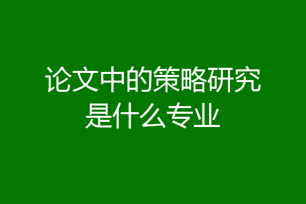 论文中的策略研究是什么专业