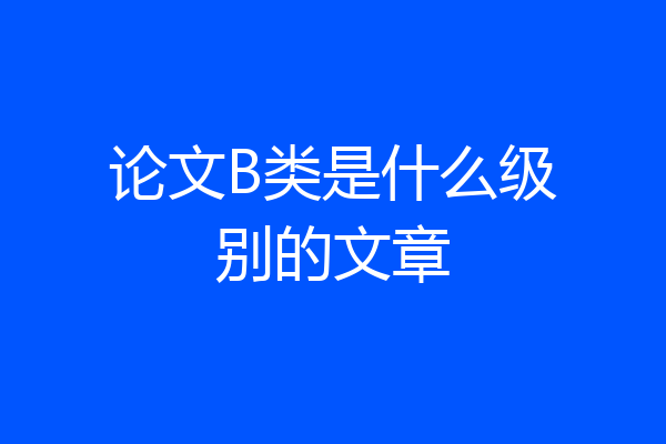 论文B类是什么级别的文章