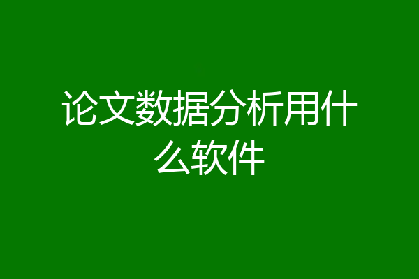 论文数据分析用什么软件
