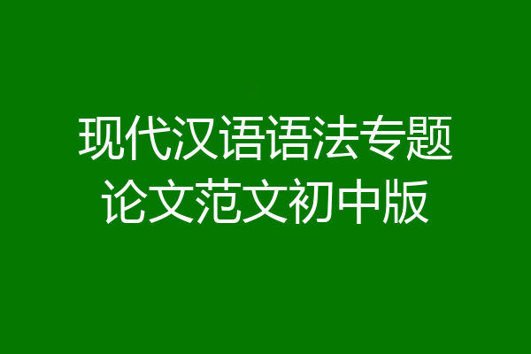 现代汉语语法专题论文范文初中版