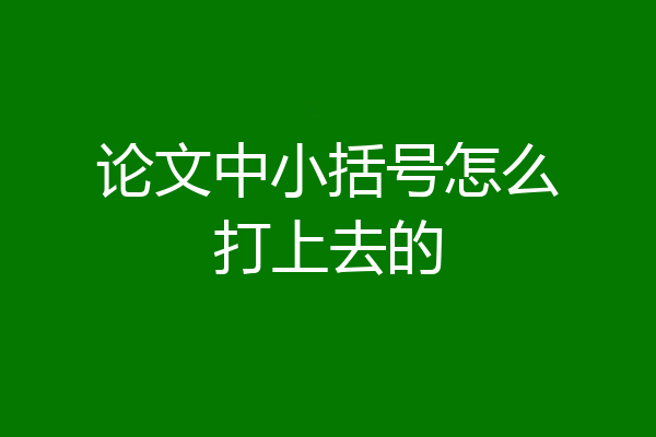 论文中小括号怎么打上去的