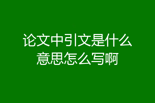 论文中引文是什么意思怎么写啊