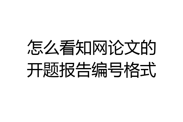 怎么看知网论文的开题报告编号格式