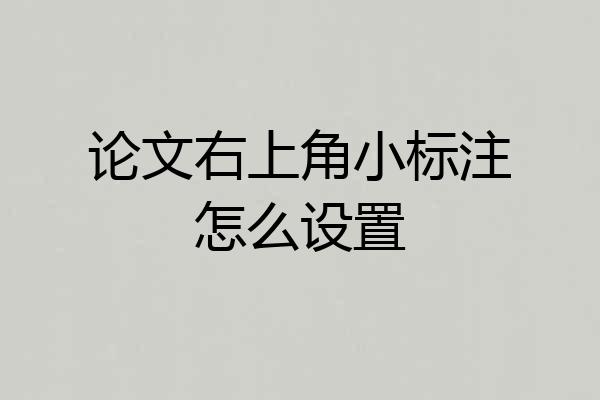 论文右上角小标注怎么设置