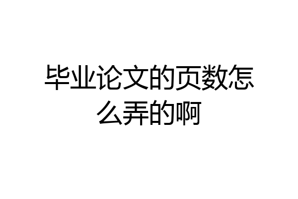 毕业论文的页数怎么弄的啊